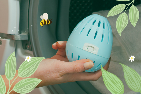 www.ecoegg.com