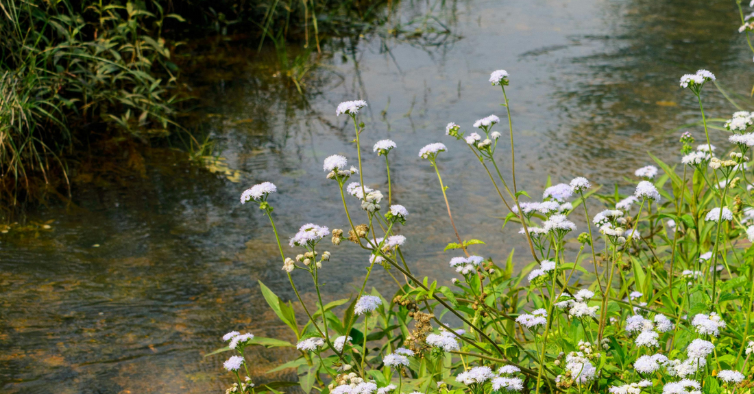 Sustainable and eco-friendly summer wish list