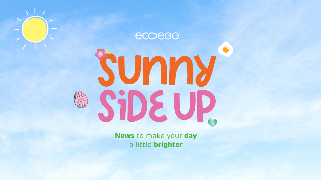 Sunny Side Up: A Monthly Dose of Happy News – Edition 5