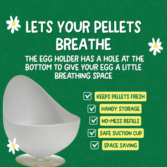 Laundry Egg Holder